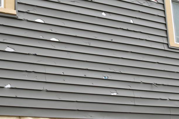 Siding for Multi-Family Homes in Norridge, IL